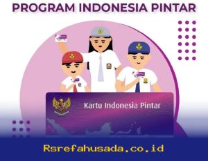 Cara Mudah Cek Status Cairnya PIP SD SMP SMA Februari 2026, Begini Prosesnya!