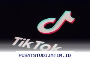 Cara Ampuh Menghasilkan Uang dari TikTok Tanpa Perlu Ribuan Follower!