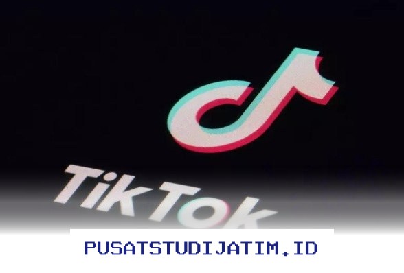 Cara Ampuh Menghasilkan Uang dari TikTok Tanpa Perlu Ribuan Follower!