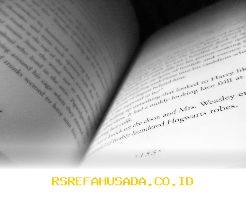 Harapan yang Tersembunyi di Balik Kertas Bekas di Sudut Kota yang Sunyi