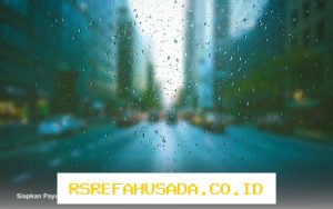 Hujan Ringan Siap Mengguyur Bogor Selatan Pekan Ini, Waspada!