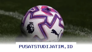 Jadwal Liga Inggris 17 Maret: Brentford vs Wolverhampton Penutup Seru Pekan ke-30!