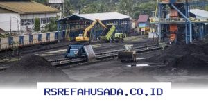 Pasokan Batu Bara PLN Dipastikan Aman Sampai Agustus 2026!