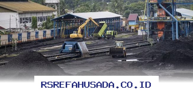Pasokan Batu Bara PLN Dipastikan Aman Sampai Agustus 2026!