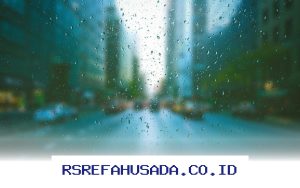 Prediksi Cuaca Bogor Hari Ini: Awas, Berawan Seharian Penuh dengan Suhu dan Kelembapan yang Perlu Diwaspadai!