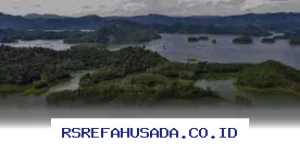 Riau Punya 10 Destinasi Wisata Tersembunyi yang Bakal Bikin Liburanmu Makin Seru!