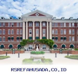 Universitas Swasta Terbaik untuk Jurusan Manajemen di Jakarta, Mana yang Paling Oke?