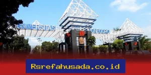 Universitas Terbaik di Semarang Mana yang Wajib Kamu Pertimbangkan?